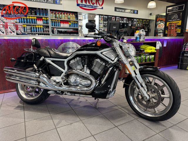 harley-davidson - v-rod-street-rod-vrscr