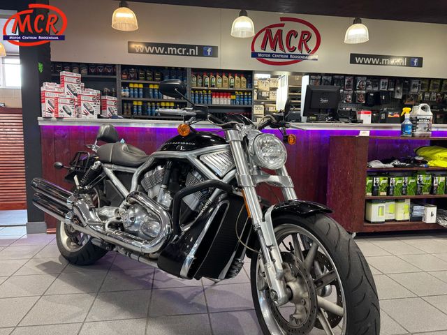 harley-davidson - v-rod-street-rod-vrscr