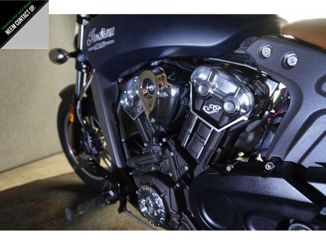 indian - scout