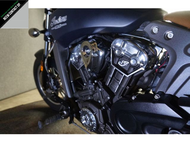 indian - scout