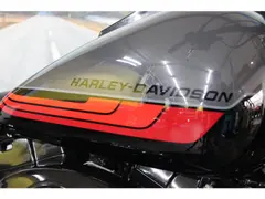 Harley-Davidson 96 Flstci Heritage 2008 occasion – foto 9 van 11