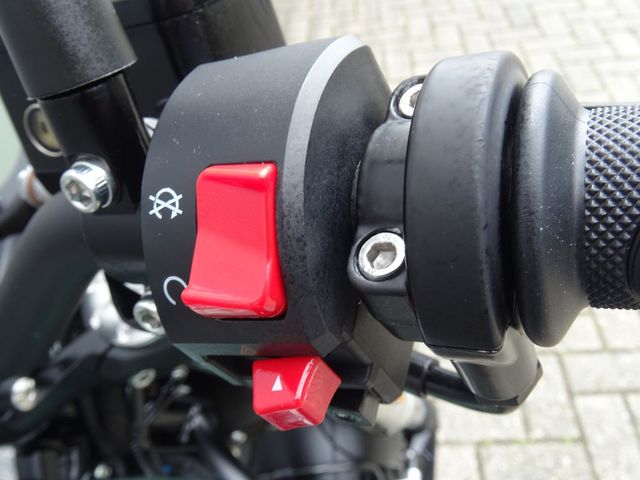 benelli - leoncino-500