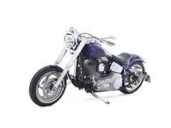 Harley-Davidson Fxst Softail Standard Custom Build 2002 occasion – foto 8 van 20