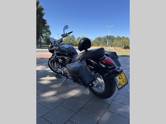 suzuki - new-intruder-m-800