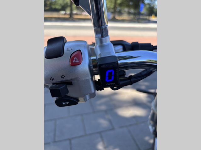 suzuki - new-intruder-m-800