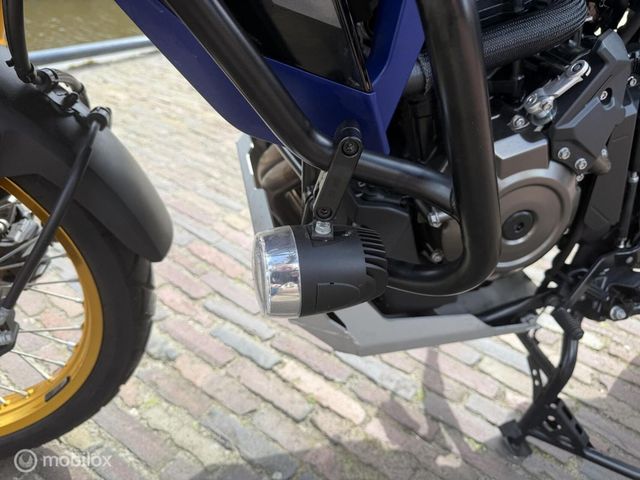 suzuki - v-strom-800-de