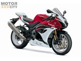 SUZUKI GSX-R 1000 R