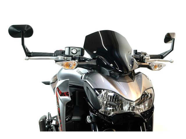 kawasaki - z900-performance