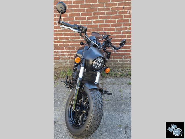 indian - scout-bobber