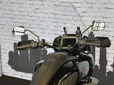 HARLEY-DAVIDSON PAN AMERICA – foto 4