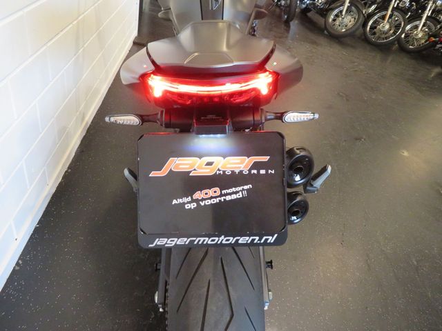ducati - monster