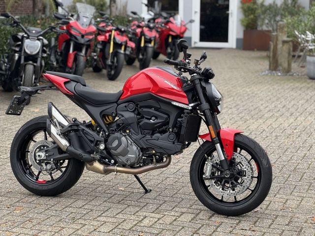 ducati - monster