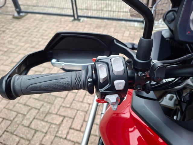 triumph - tiger-900-gt-pro