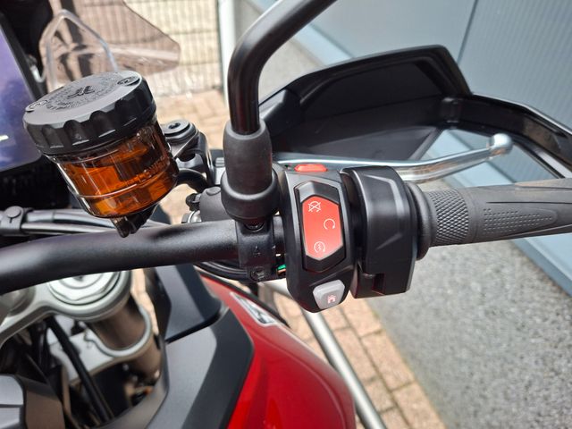 triumph - tiger-900-gt-pro