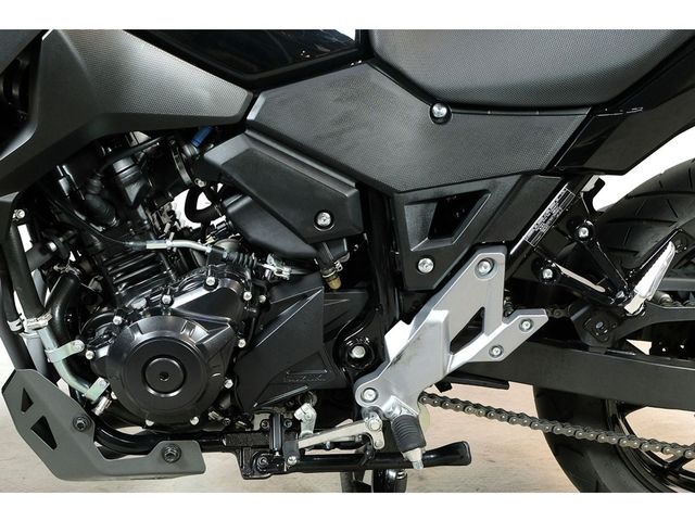 suzuki - v-strom-250-a