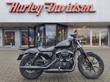 HARLEY-DAVIDSON SPORTSTER IRON XL 883 N