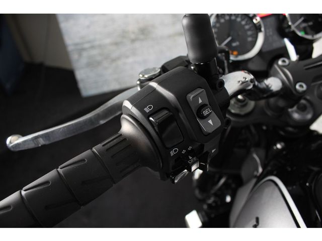 kawasaki - z900rs
