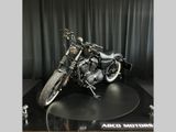 HARLEY-DAVIDSON SPORTSTER IRON XL 883 N