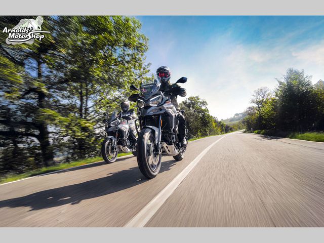 MORBIDELLI - t-1002-vx