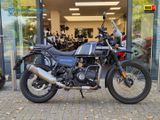 ROYAL ENFIELD SCRAM 411