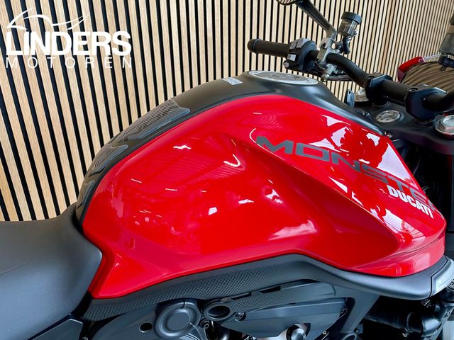 ducati - monster--