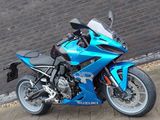 SUZUKI GSX-8R
