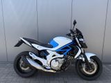 SUZUKI GLADIUS