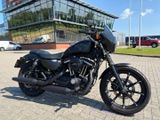 HARLEY-DAVIDSON SPORTSTER IRON XL 883 N
