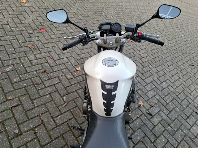 yamaha - xj-6-n---diversion