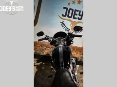 Harley-Davidson Sportster Custom XL 883 C 2010 occasion – foto 11 van 12
