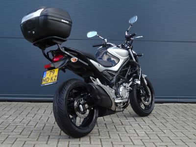 SUZUKI GLADIUS – foto 2
