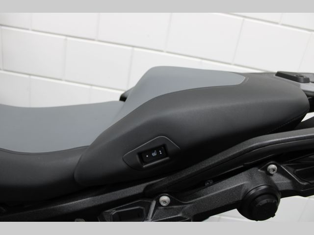 bmw - r-1300-gs