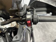 Voge DS 800 X Rally 2026 occasion – foto 12 van 16