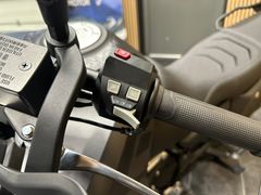 Voge DS 800 X Rally 2026 occasion – foto 13 van 16