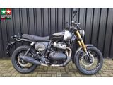 ROYAL ENFIELD BEAR 650