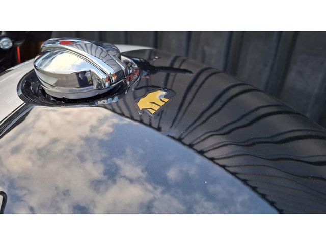 royal-enfield - bear-650