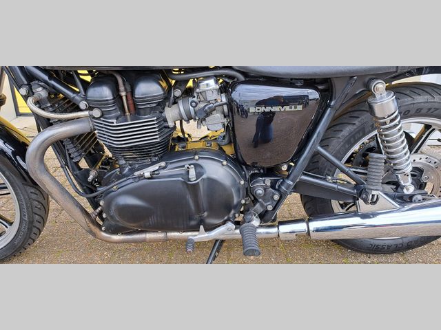 triumph - bonneville-t-100