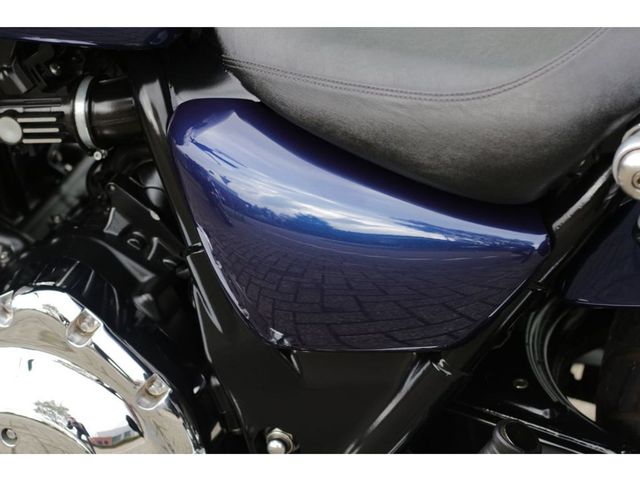 triumph - thunderbird