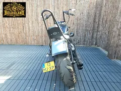 Harley-Davidson Softail Custom Fxstc 2010 occasion – foto 6 van 24