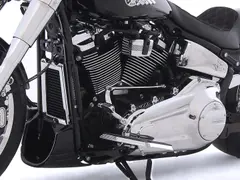 Harley-Davidson Flfbs Softail FAT BOY / Fatboy BTW-Motor! 2026 nieuw – foto 9 van 20