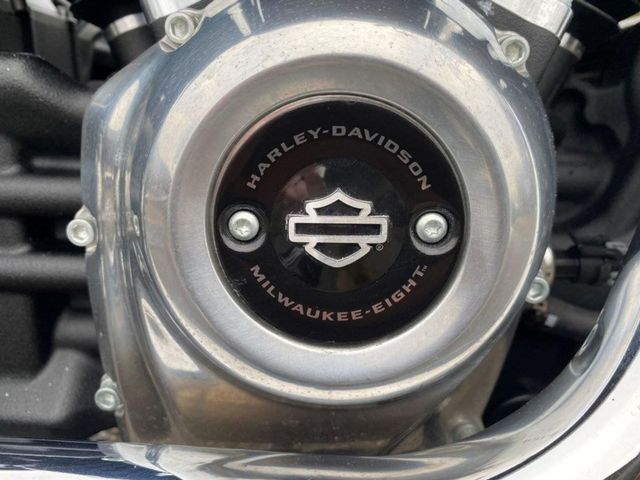 harley-davidson - softail-standard