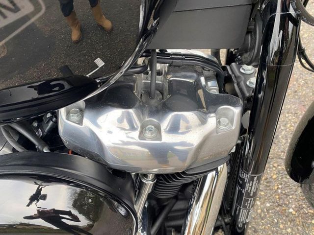 harley-davidson - softail-standard