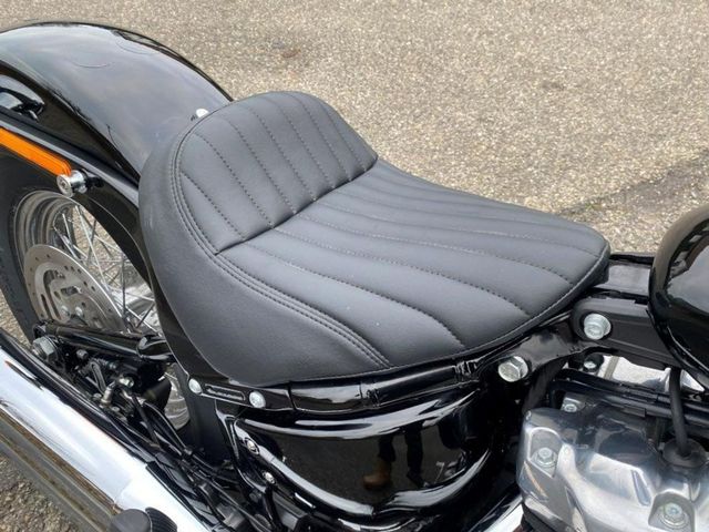 harley-davidson - softail-standard