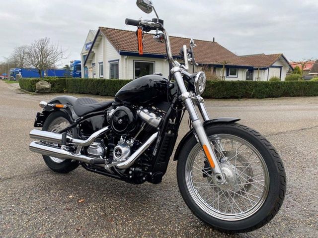 harley-davidson - softail-standard