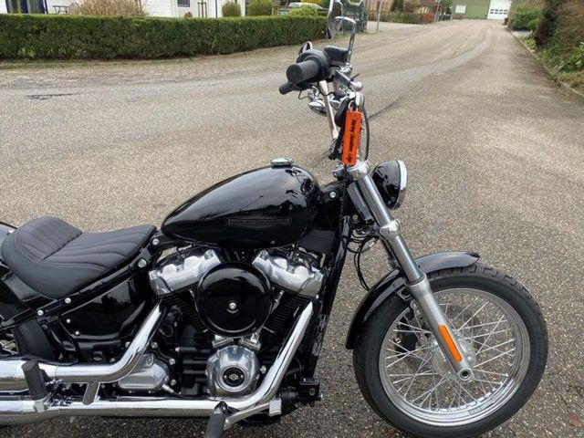 harley-davidson - softail-standard