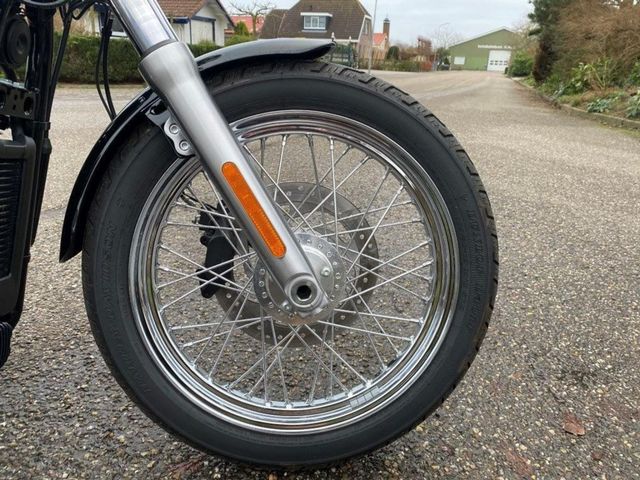 harley-davidson - softail-standard