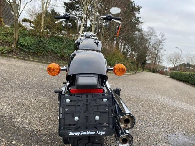 harley-davidson - softail-standard