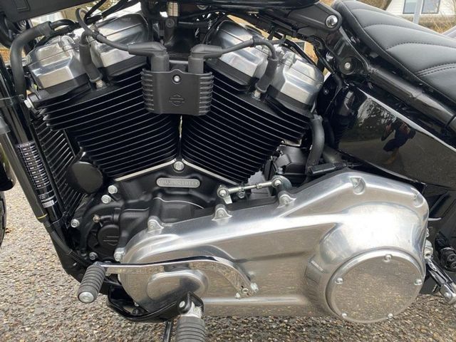 harley-davidson - softail-standard