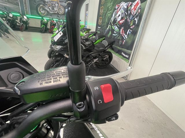 kawasaki - versys-650-se