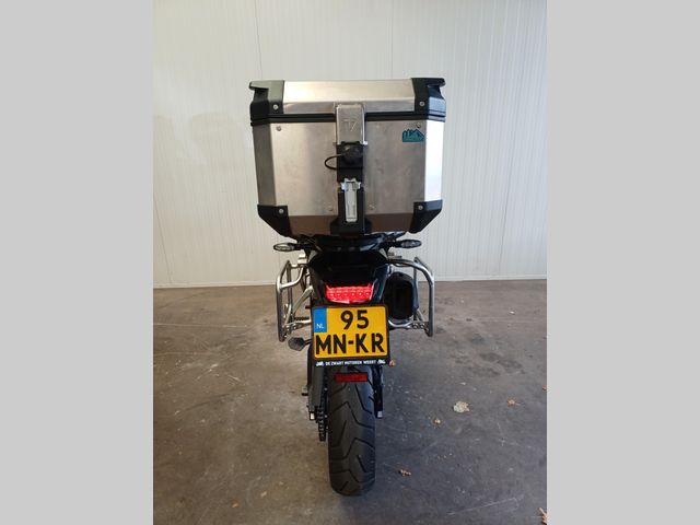 triumph - tiger-900-rally-pro